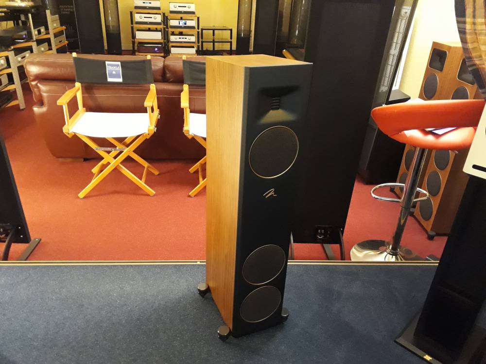 Martin Logan Motion F10